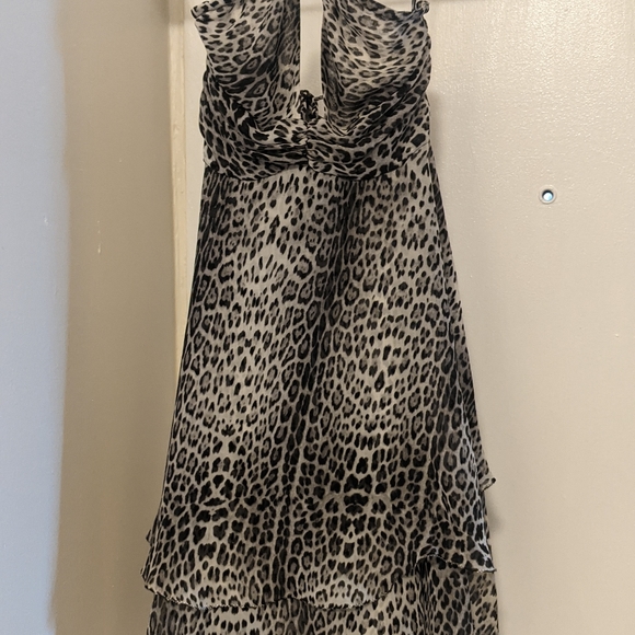 Roberto Cavalli - Picture 2 of 2